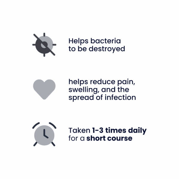 Amoxicillin 500mg Capsules for Dental Infection (First-Line Treatment)